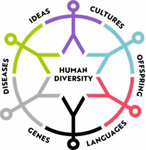 human diversity